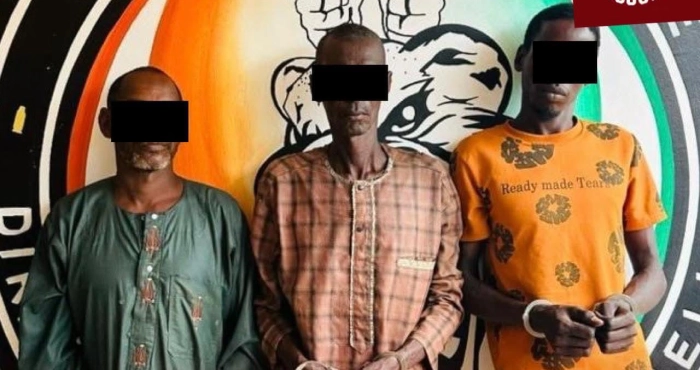 abengourou-38-boeufs-envoles-trois-bergers-arretes