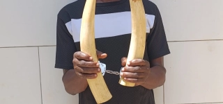 yopougon-un-presume-trafiquant-arrete-avec-deux-pointes-divoire