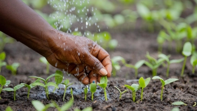 developpement-agricole-les-cinq-grands-defis-du-plan-strategique-de-la-recherche-agricole-nationale