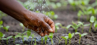 developpement-agricole-les-cinq-grands-defis-du-plan-strategique-de-la-recherche-agricole-nationale