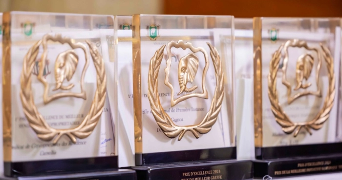 prix-national-dexcellence-2026-les-criteres-du-prix-dexcellence-pour-le-developpement-de-la-communication