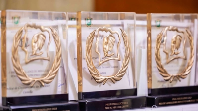 prix-national-dexcellence-2026-les-criteres-du-prix-dexcellence-pour-le-developpement-de-la-communication