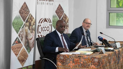chute-des-prix-du-cacao-sur-le-marche-mondial-les-pays-de-lorganisation-internationale-du-cacao-a-la-recherche-de-solution