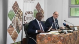 chute-des-prix-du-cacao-sur-le-marche-mondial-les-pays-de-lorganisation-internationale-du-cacao-a-la-recherche-de-solution