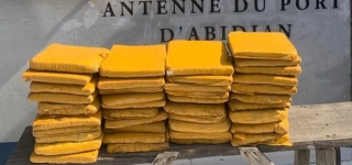 lutte-contre-la-drogue-la-police-fait-une-saisie-de-cannabis-a-bingerville