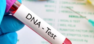 ghana-42-3-des-tests-adn-effectues-en-2025-montrent-que-les-hommes-testes-ne-sont-pas-les-peres-biologiques-selon-une-etude