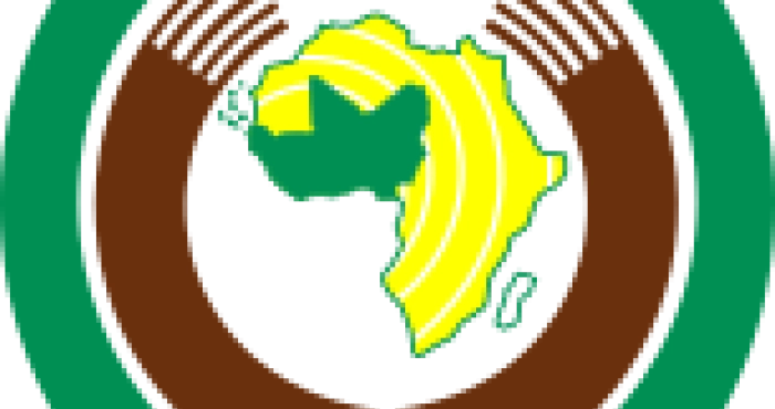 mali-attaques-terroristes-la-cedeao-appelle-a-une-union-regionale-contre-la-menace