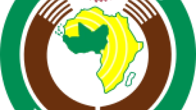 mali-attaques-terroristes-la-cedeao-appelle-a-une-union-regionale-contre-la-menace