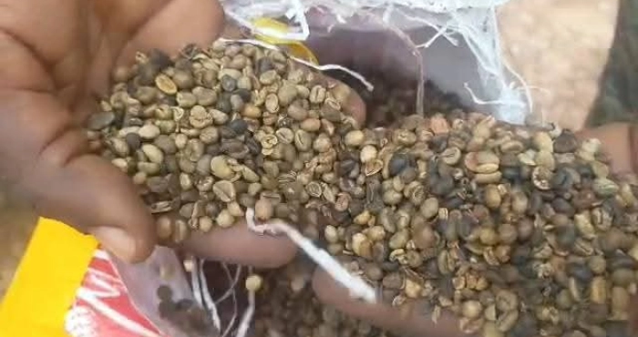 produits-de-rente-vingt-et-un-tonnes-de-cafe-saisies-a-doropo