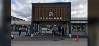 mystere-macabre-au-zoo-dasahiyama-un-employe-soupconne-davoir-incinere-sa-femme