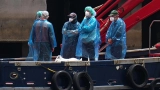 hantavirus-94-passagers-evacues-du-mv-hondius-six-cas-confirmes-dont-trois-deces
