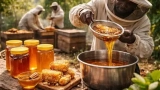 journee-mondiale-des-abeilles-5-bonnes-raisons-de-craquer-pour-le-miel