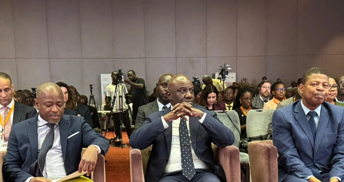 lutte-contre-les-cyber-attaques-les-regulateurs-africains-sonnent-lalerte