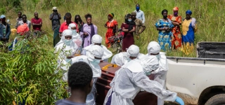 ebola-loms-annonce-plus-de-de-900-cas-suspects-en-republique-democratique-du-congo