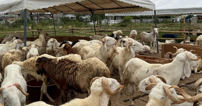 marches-a-betail-renforcement-du-dispositif-de-controle-sanitaire-veterinaire-a-loccasion-de-la-tabaski