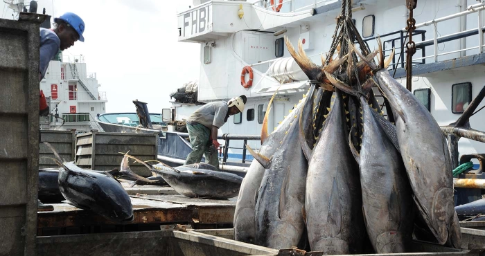 le-gouvernement-ivoirien-annonce-la-fermeture-saisonniere-des-peches-des-le-1er-juillet