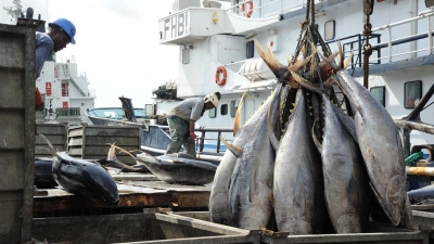 le-gouvernement-ivoirien-annonce-la-fermeture-saisonniere-des-peches-des-le-1er-juillet