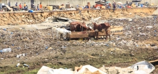 emmou-sylvestre-a-bacongo-ni-les-populations-de-port-bouet-ne-sauraient-se-laisser-prendre-a-une-telle-forfaiture