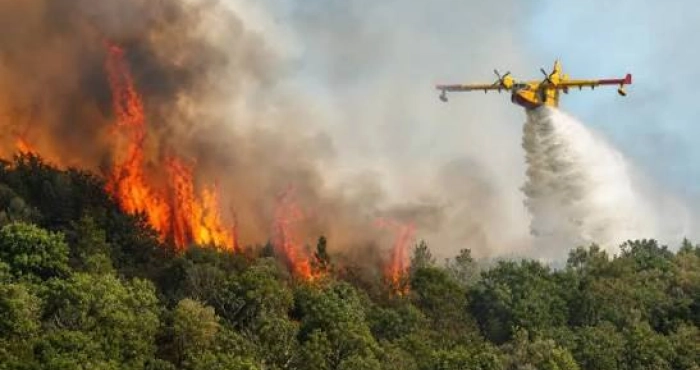 france-un-enorme-incendie-devaste-la-foret-de-fontainebleau-1900-hectares-partis-en-fumee