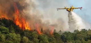 france-un-enorme-incendie-devaste-la-foret-de-fontainebleau-1900-hectares-partis-en-fumee