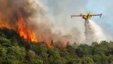 france-un-enorme-incendie-devaste-la-foret-de-fontainebleau-1900-hectares-partis-en-fumee