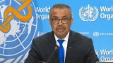 rdc-loms-tire-la-sonnette-dalarme-sur-lepidemie-debola-bundibugyo