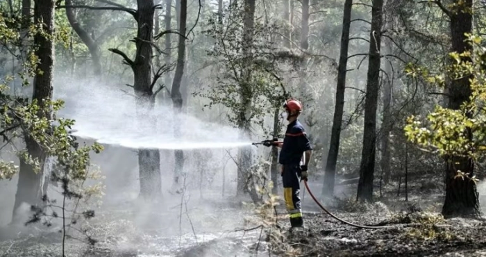 incendie-de-fontainebleau-une-entreprise-de-travaux-routiers-soupconnee-detre-a-lorigine