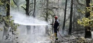 incendie-de-fontainebleau-une-entreprise-de-travaux-routiers-soupconnee-detre-a-lorigine