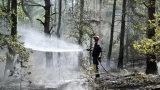 incendie-de-fontainebleau-une-entreprise-de-travaux-routiers-soupconnee-detre-a-lorigine