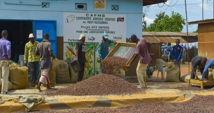 filiere-cafe-cacao-un-audit-de-la-liste-fournie-par-loia-simpose