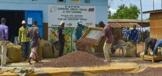 filiere-cafe-cacao-un-audit-de-la-liste-fournie-par-loia-simpose