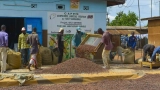 filiere-cafe-cacao-un-audit-de-la-liste-fournie-par-loia-simpose