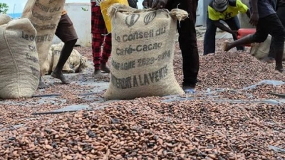 linitiative-cacao-cote-divoire-ghana-accueille-de-nouveaux-membres