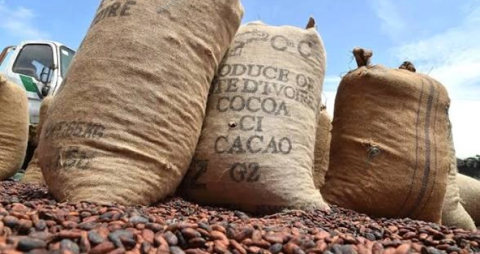 le-bilan-du-rachat-des-100-000-tonnes-renvoye-a-loia-cafe-cacao