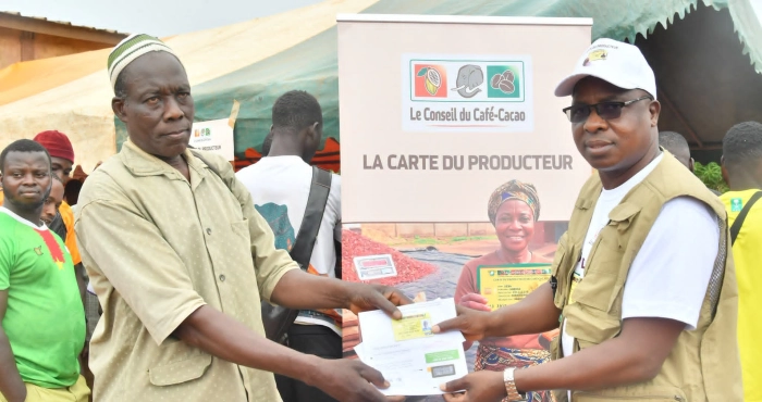le-conseil-du-cafe-cacao-accelere-la-production-et-la-distribution-des-cartes-du-producteur