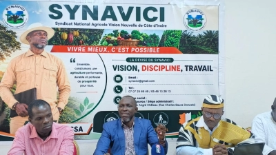 trafic-des-prix-du-cacao-le-conseil-cafe-cacao-interpelle-en-urgence
