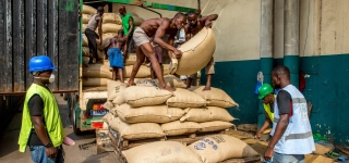 campagne-2026-2027-le-prix-du-kilo-sera-compris-entre-1-200-et-1-500-fcfa