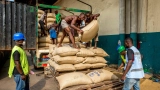 campagne-2026-2027-le-prix-du-kilo-sera-compris-entre-1-200-et-1-500-fcfa