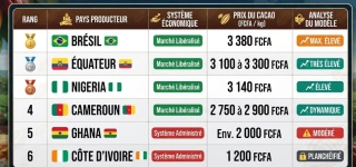 cacao-le-prix-du-jour-et-le-prix-promis
