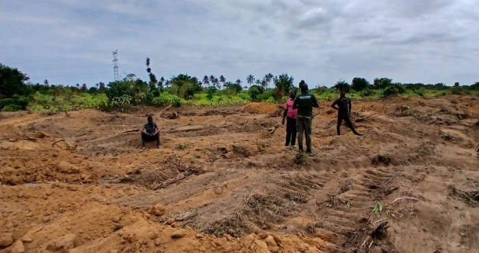 deux-individus-mis-aux-arrets-pour-lotissement-illegal-dans-une-foret-classee-trois-bulldozers-saisis