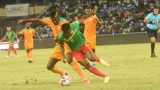elephants de cote divoire ces dangers a eviter au cameroun
