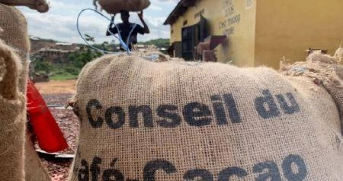 le-snt-en-marche-le-cacao-commence-a-affluer-dans-les-ports-ivoiriens-dabidjan-et-de-san-pedro