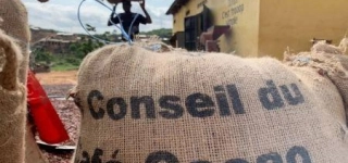 le-snt-en-marche-le-cacao-commence-a-affluer-dans-les-ports-ivoiriens-dabidjan-et-de-san-pedro