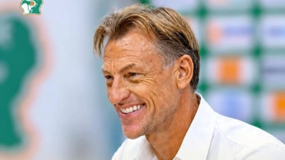 elephants-renard-justifie-les-absences-de-singo-amad-et-godo