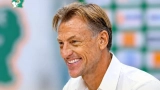 elephants renard justifie les absences de singo amad et godo