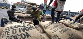 livraisons-de-cacao-aux-ports-dabidjan-et-san-pedro-la-barre-des-50-000-tonnes-de-cacao-franchi