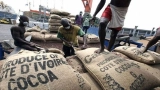 livraisons-de-cacao-aux-ports-dabidjan-et-san-pedro-la-barre-des-50-000-tonnes-de-cacao-franchi
