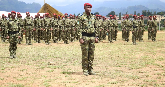 man-le-bataillon-dinfanterie-de-montagne-bim-remplace-le-bso
