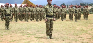 man-le-bataillon-dinfanterie-de-montagne-bim-remplace-le-bso