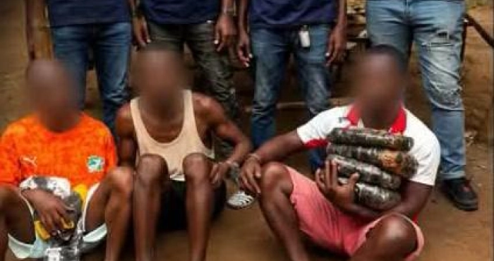 trafic-de-drogue-deux-fumoirs-rases-trois-individus-arretes-entre-toupah-et-jacqueville-par-le-grad-special